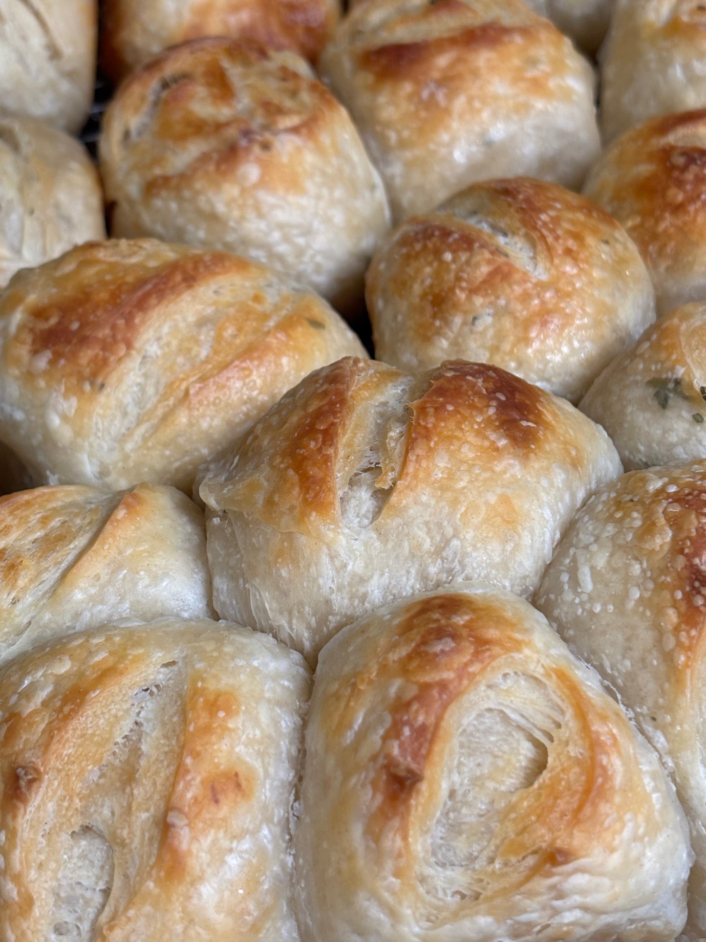 Classic Dinner Rolls