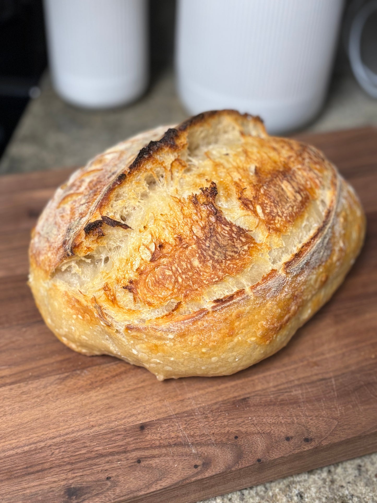 Classic Artisan Loaf